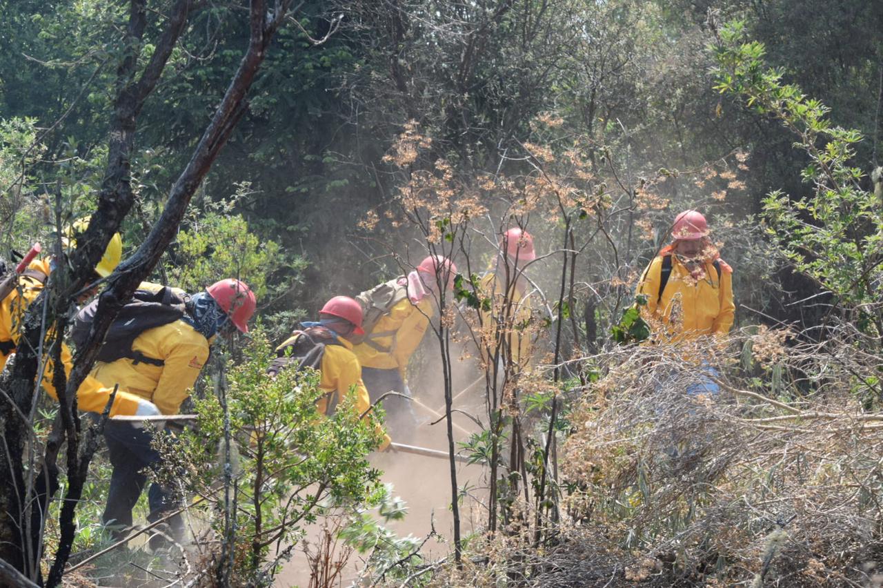 26803533-2e3e-4f95-82d4-39dc40b9149c Incendios Forestales