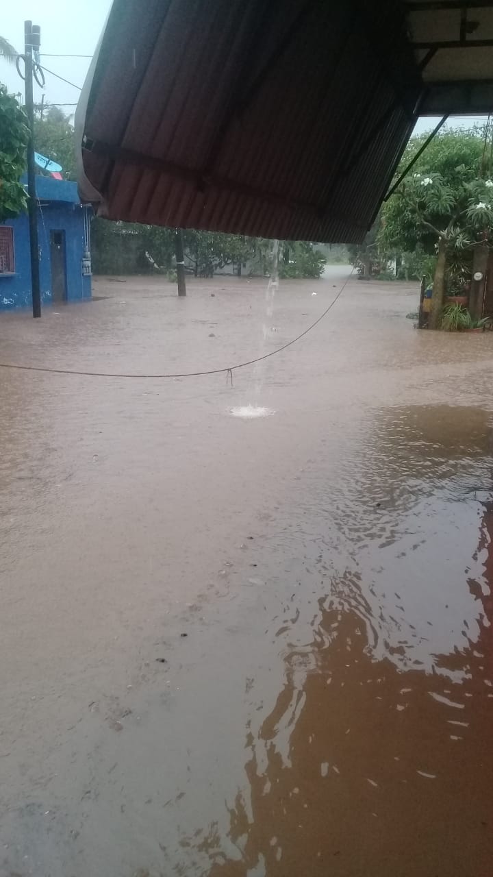 FE966837-1BB3-4E32-BBB5-74C04E2B7EEC