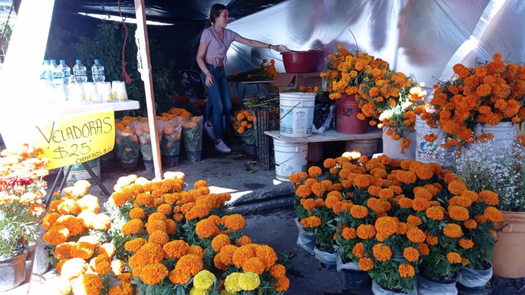 Comerciantes prevén aumento en venta de flores por Día de Muertos -  PostData News
