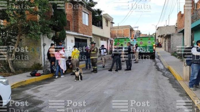 Enjambre de abejas hiere a 8 personas al norte de Morelia