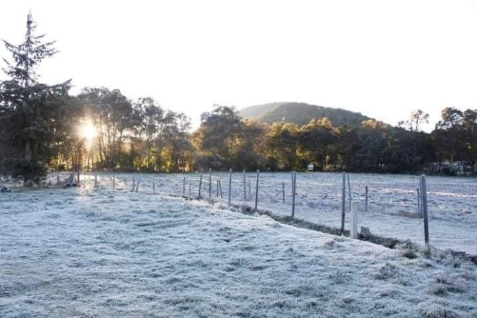 Pronostican heladas en Michoacán durante las próximas horas