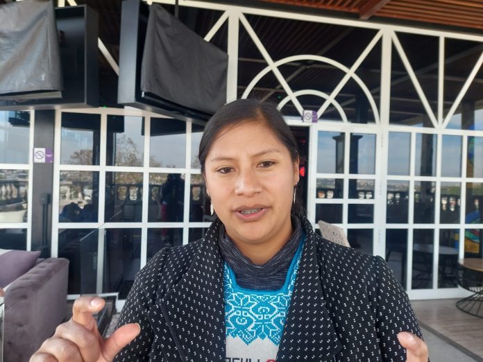 Mi precandidatura cumple con una acción afirmativa en Morena: Celeste Ascencio