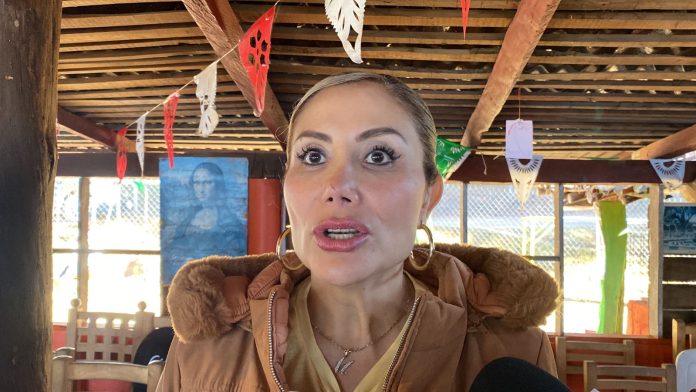 Identifican tres puntos de Morelia, como focos rojos por presencia de animales ferales