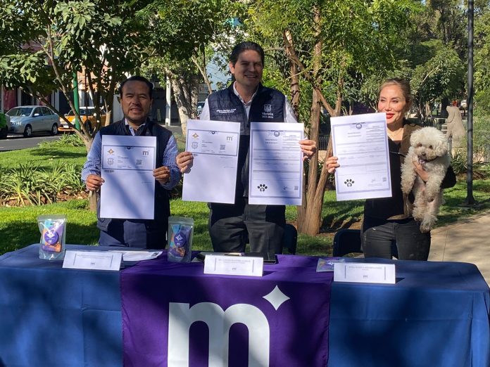 Gatos y perros morelianos, podrán tener un acta de nacimiento y Clave de Registro animal