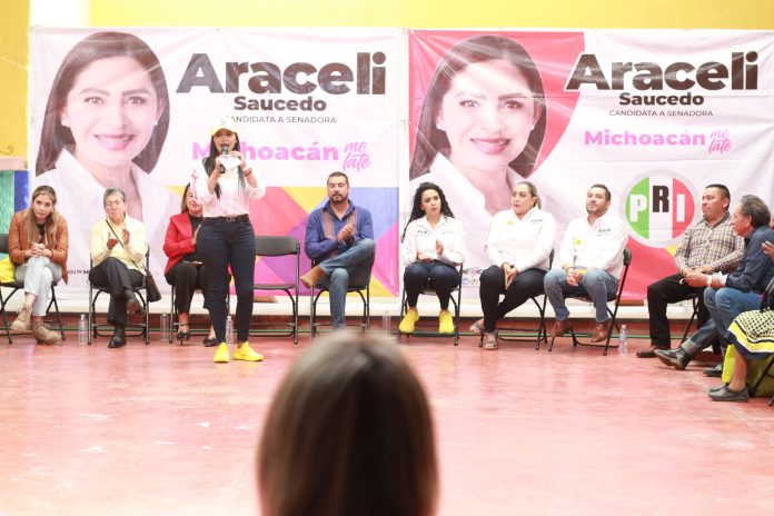 Vamos a poner freno a un Estado que violenta los derechos de las mujeres: Araceli Saucedo