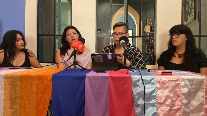 Colectivo Canteras conmemorará el Día Internacional de la Mujer con diversas actividades