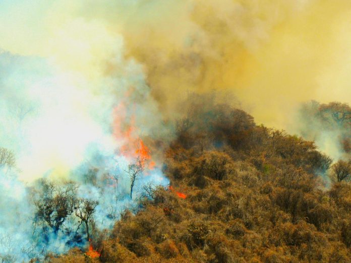 Registra Michoacán 9 incendios forestales; anticipa gobernador una temporada compleja