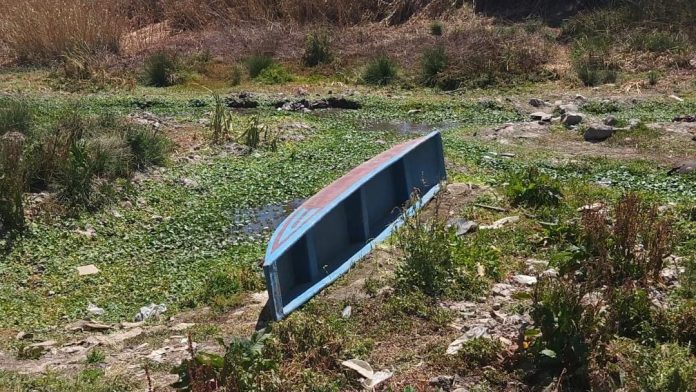 Canotaje de Michoacán agoniza por la sequía que afecta el Lago de Pátzcuaro
