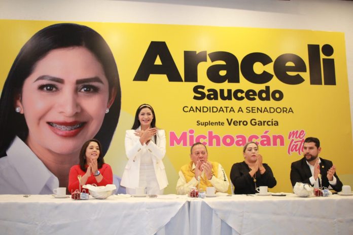 No es suficiente el respaldo de partidos políticos, son necesarios los ciudadanos: Araceli Saucedo
