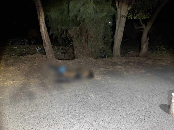 Joven es asesinado en Zamora
