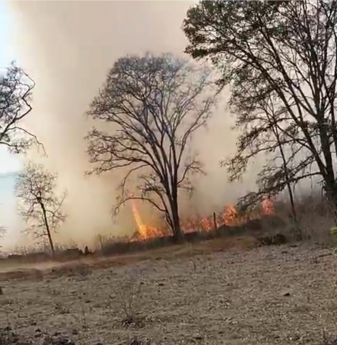 e08e2034-bcee-4bb1-8aee-0b17468c8fe1