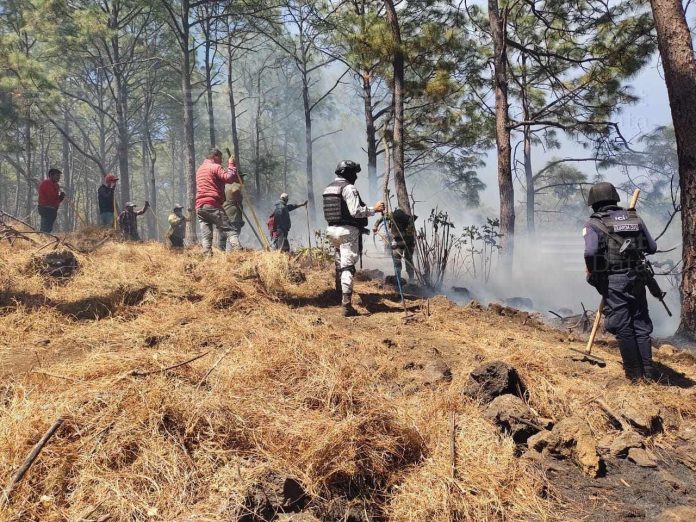 incendio acahuato