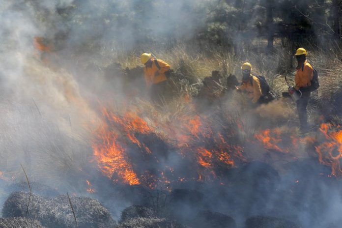 incendjio sabado