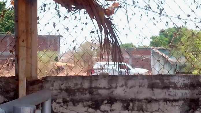 Localizan a dos hombres asesinados en inmueble de Apatzingán Localizan a dos hombres asesinados en inmueble de Apatzingán