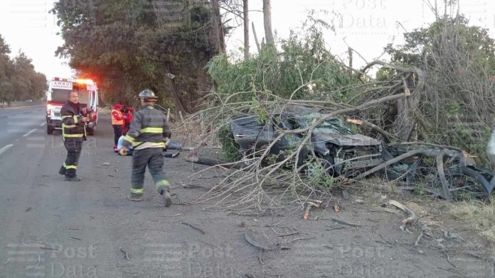 Choque se camioneta contra árbol deja 4 heridos en la Morelia-Salamanca