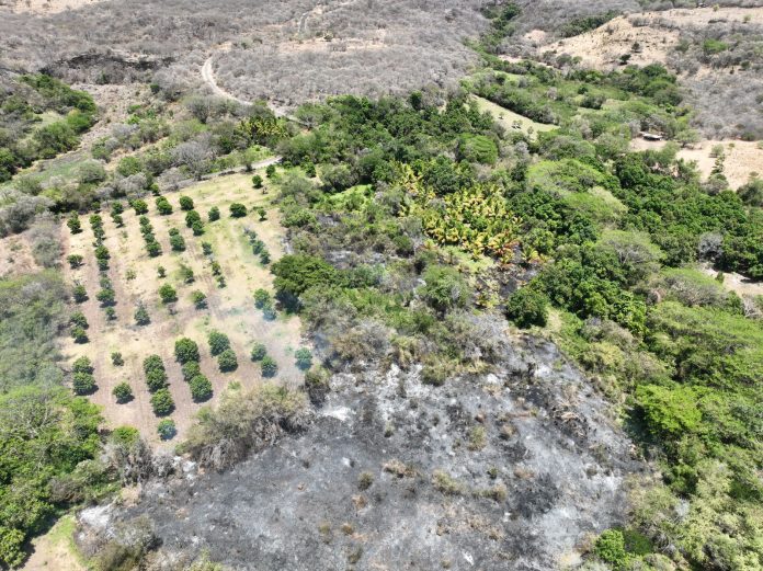 Combatientes apagan incendio forestal en Chinicuila y controlan 5 más