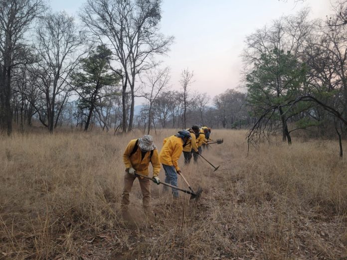 Brigadistas apagan 7 incendios en Michoacán Brigadistas apagan 7 incendios en Michoacán