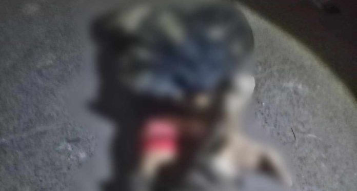 Abandonan cadáver maniatado y embolsado en carretera de Apatzingán