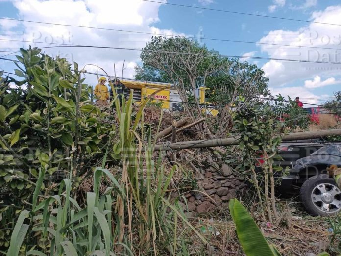 Muere conductor de camioneta al accidentarse en la Morelia-Salamanca