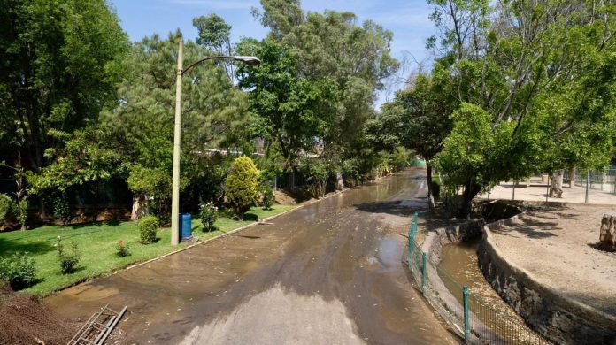 OOAPAS quiere deslindarse de inundación en el Zoo, pero ellos derramaron lodos tóxicos: director del parque