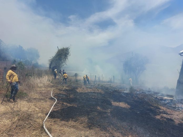 Brigadistas apagan incendio forestal en Madero y controlan 2 en Los Reyes y Ario
