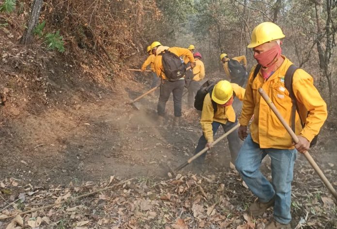 Por aire y tierra logran contener un 80 % el incendio forestal en Uruapan