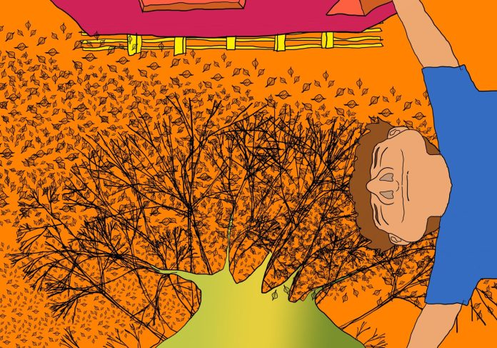 URBANÓPOLIS. Ante el calor…más árboles