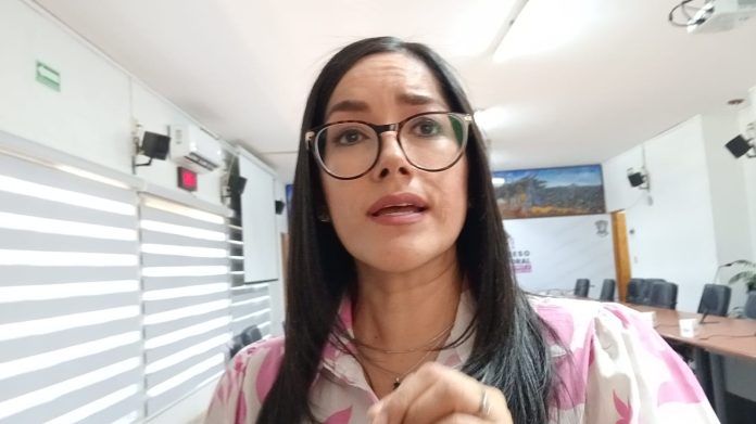 Excesiva y discriminatoria, la decisión del TEEM sobre acciones afirmativas: Consejera IEM