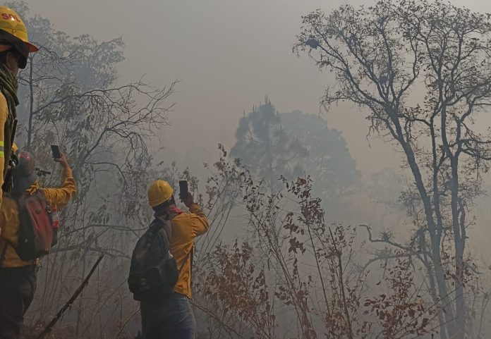 Estiman que incendio habría arrasado con 400 has de montaña del Parque Nacional de Uruapan