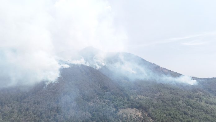 Continúan brigadistas combatiendo incendio forestal en Pátzcuaro Continúan brigadistas combatiendo incendio forestal en Pátzcuaro
