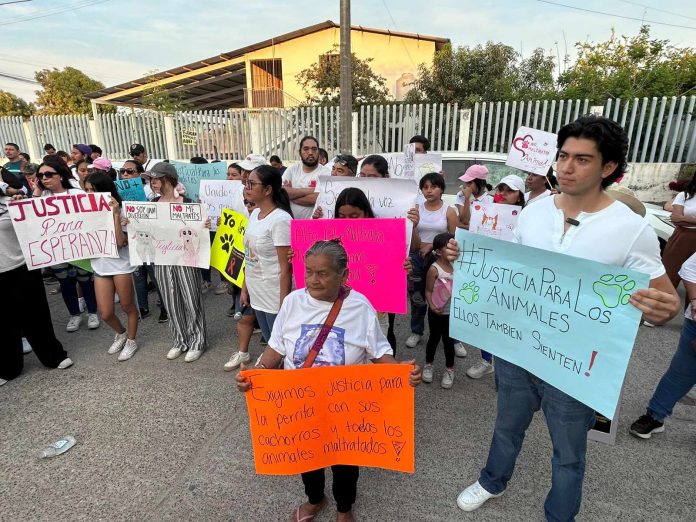 Pobladores se manifiestan en Lázaro Cárdenas, exigen justicia por agresión contra perrita embrazada