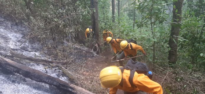 Brigadistas controlan incendio forestal en Morelia y atienden 9 más en otros municipios Brigadistas controlan incendio forestal en Morelia y atienden 9 más en otros municipios