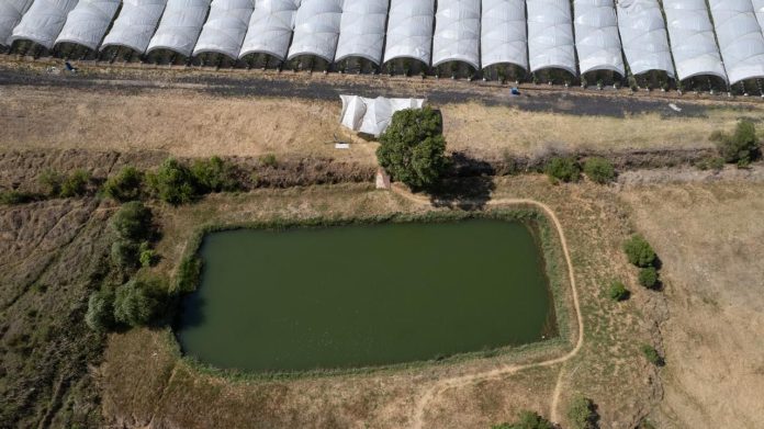 Detectan 160 ollas de agua que afectan al Lago de Pátzcuaro