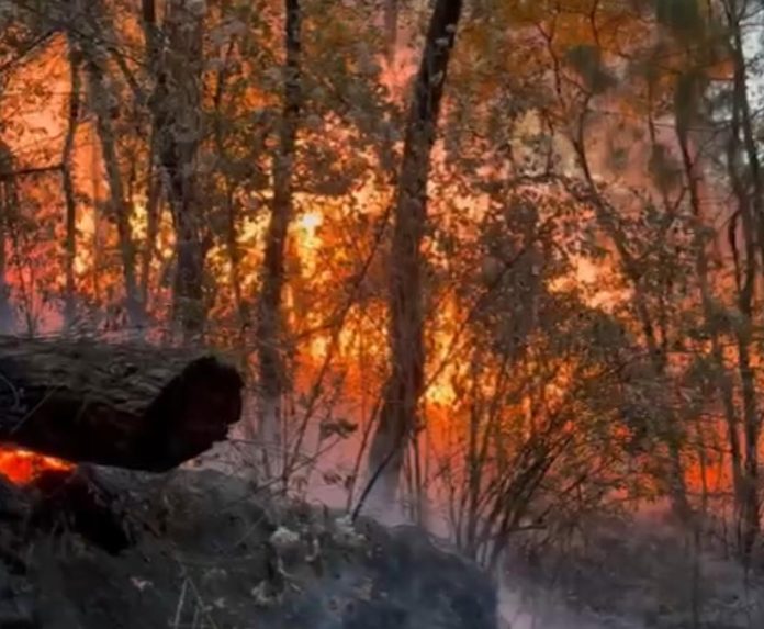 incendo 3