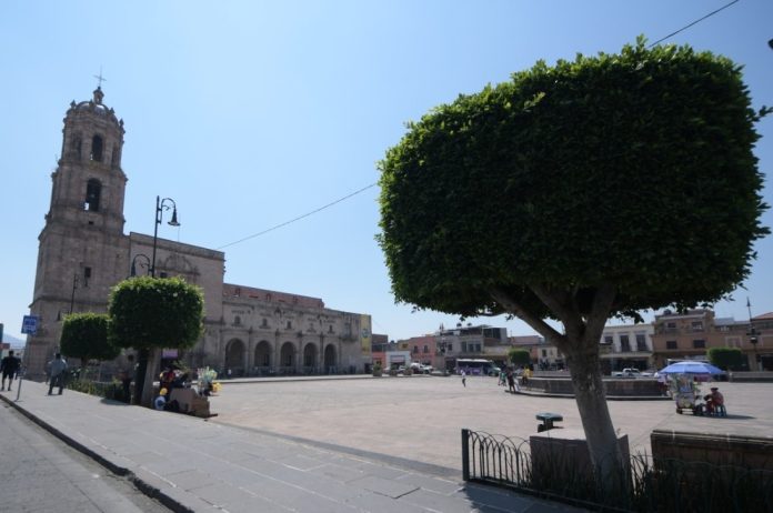 Lanzará Ayuntamiento programa de arborización para mitigar islas de calor en Morelia