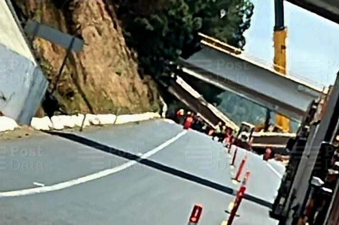 Se desploma "ballena" en la Siglo XXI