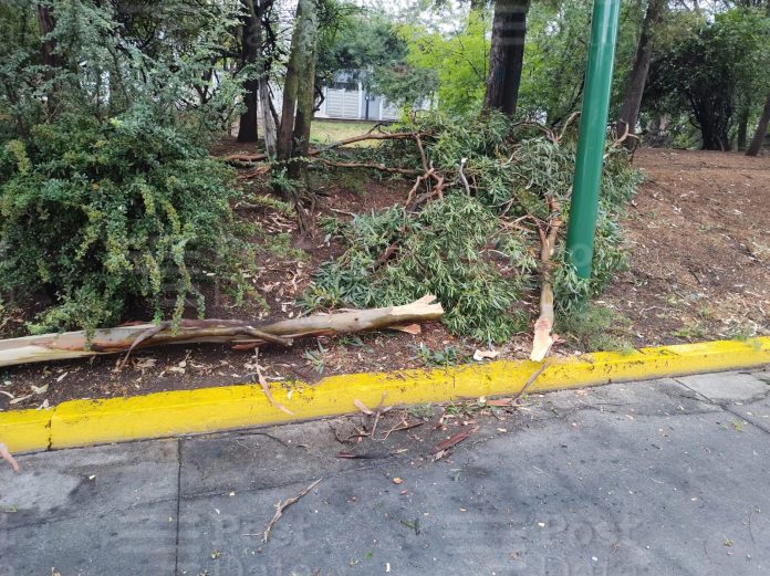 Morelia registra afectaciones menores por la lluvia