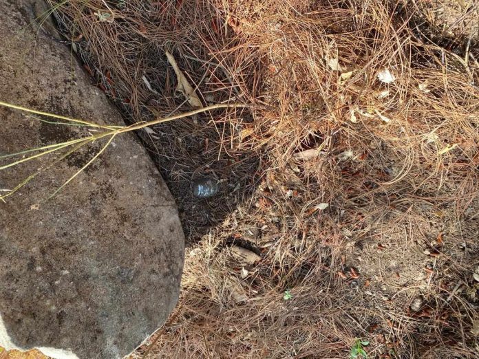 Personal de la BOI asegura granada en Tarecuato
