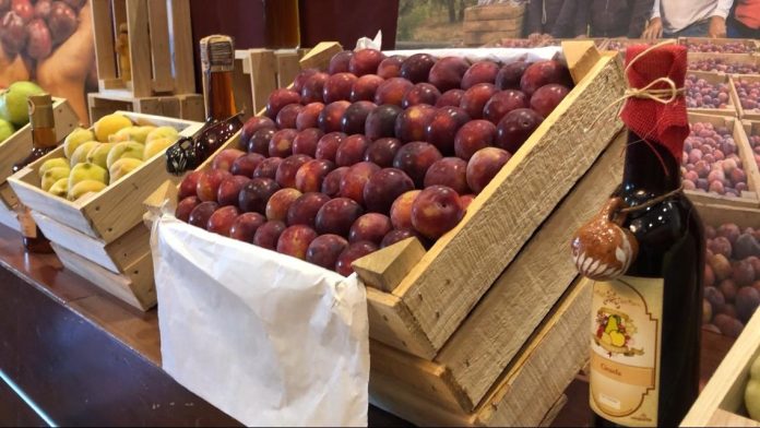 Por saturación del mercado, el precio de ciruela michoacana cayó a 2 pesos el kilogramo