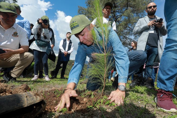 La restauración de la naturaleza es un estilo de vida y no una ocurrencia: Navarro García