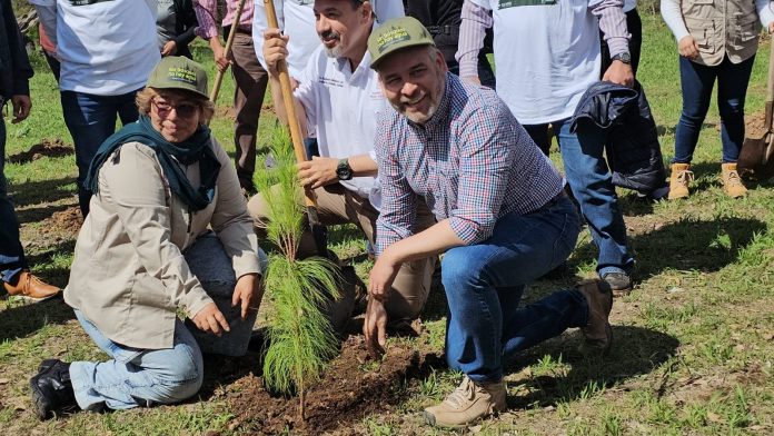 Se reforestarán 10 millones de árboles que están en viveros de COFOM: Gobernador