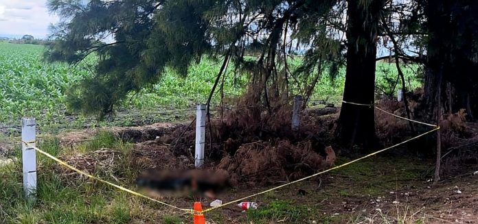 Joven jalisciense es hallado asesinado a un costado de la Autopista de Occidente