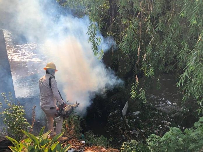 4 fallecidos y 1 mil 950 enfermos por dengue en Michoacán durante 2024