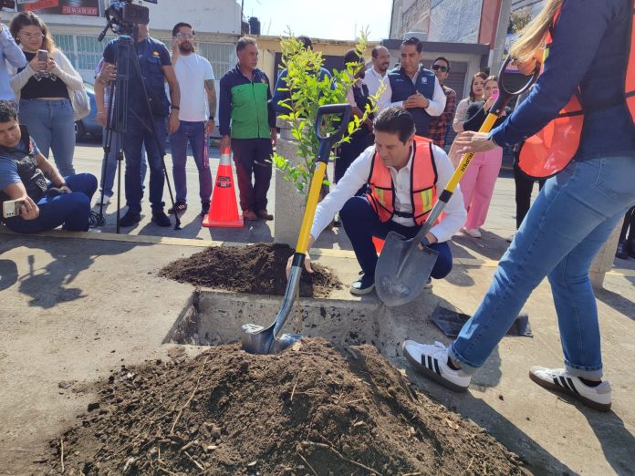 Con “Bienvenido Arbolito”, ayuntamiento invita a plantar árboles en las banquetas de Morelia