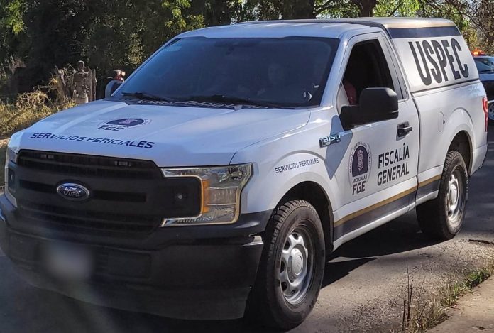 55d675e7-7e84-4217-b916-0d0b0e6abc09