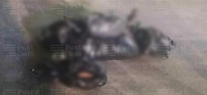 WhatsApp Image 2024-08-05 at 12.03.51 PM (1)