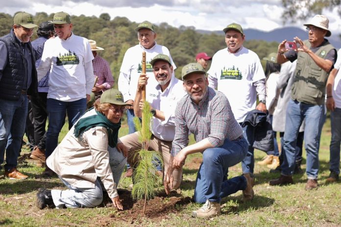 Reforestados 3 millones de 10 millones de árboles comprometidos en Michoacán