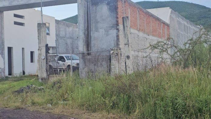 homicidi morelia