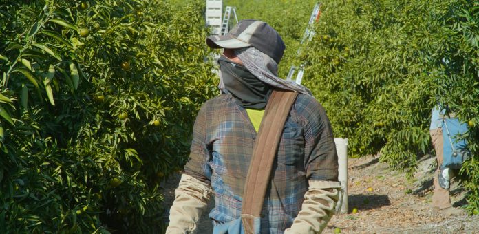 “Primero, Sueño”, un cortometraje que busca hacer ver el valor de los migrantes