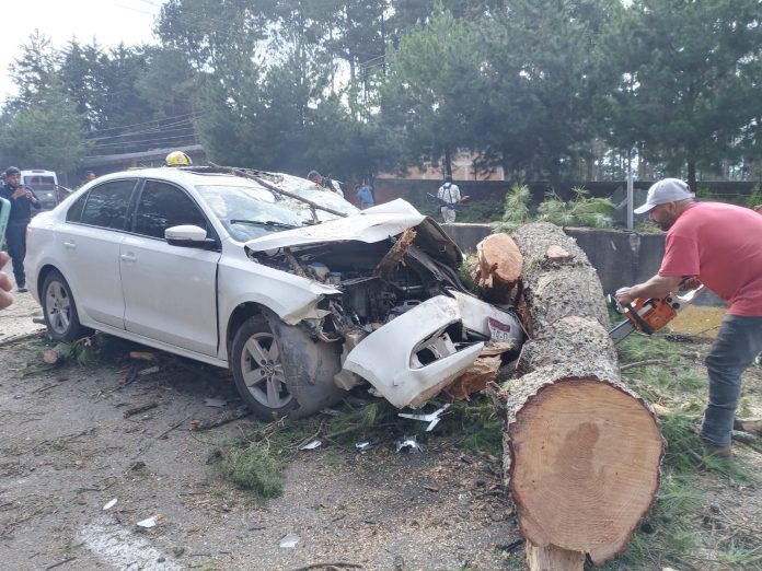 Árbol caído provoca choque y deja dos heridos en la carretera Pátzcuaro-Santa Clara
